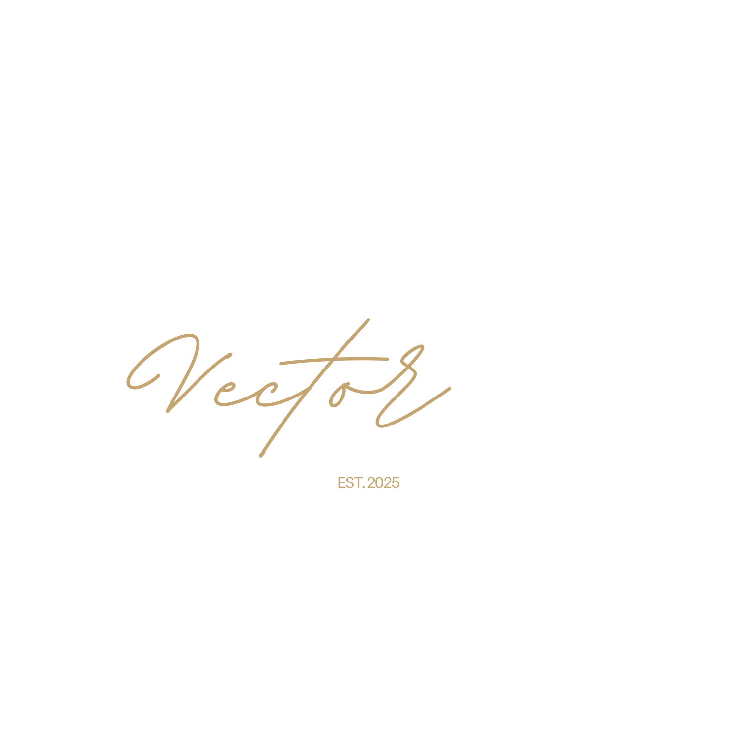 The Vector Podcast