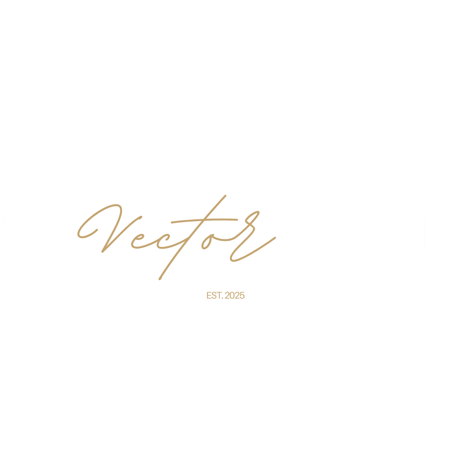 The Vector Podcast